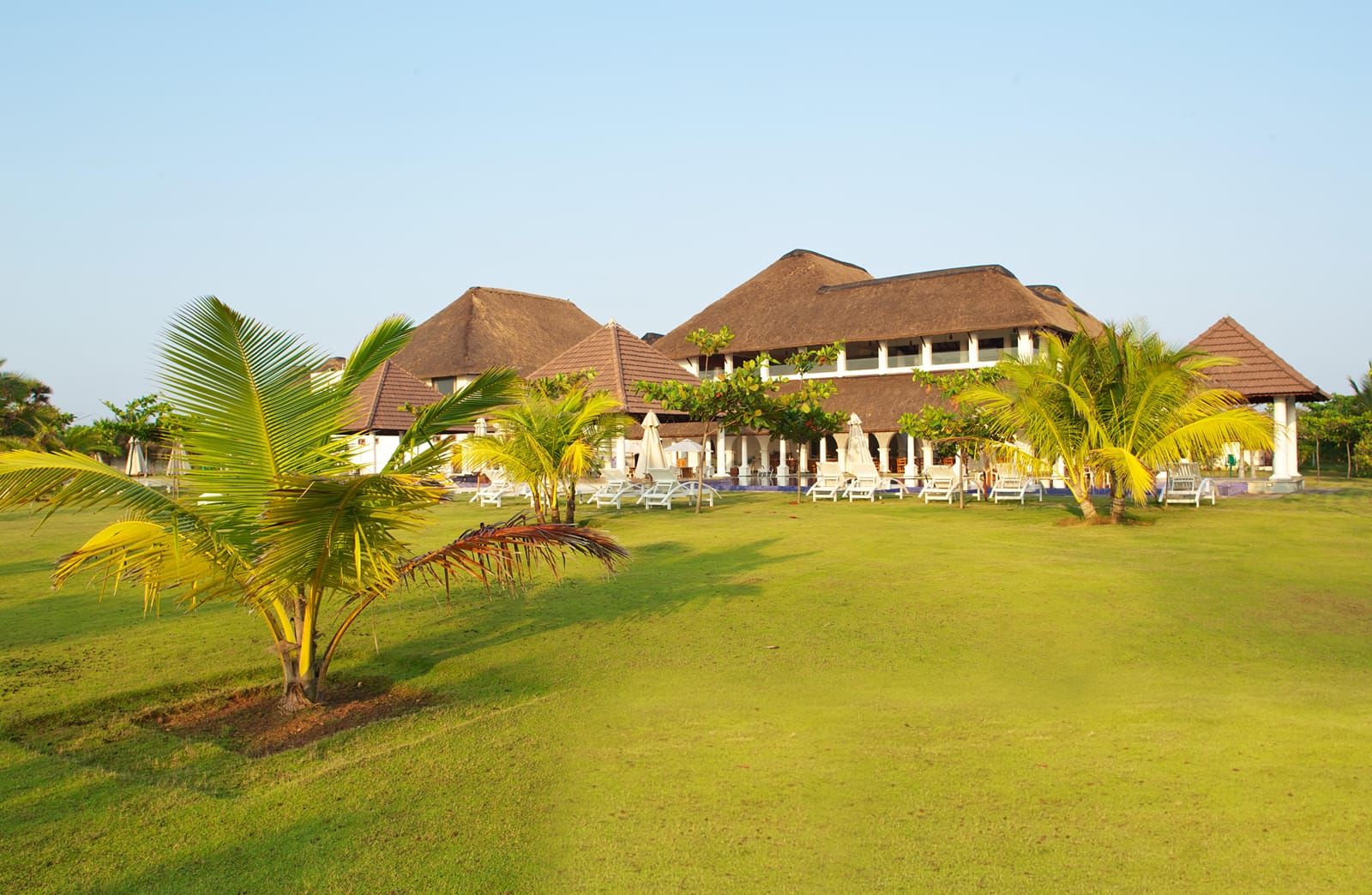 Wide green lawn with palm trees in front of the resort