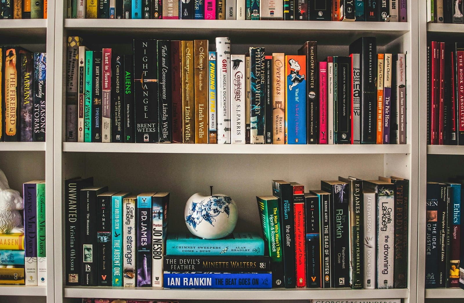 Bookshelf filled with books