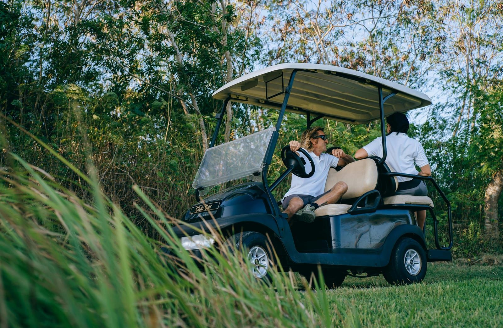 Resort buggy on the lawn surrounded by trees